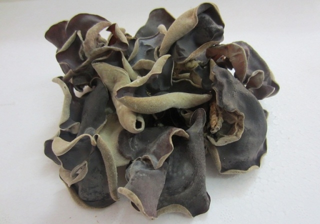 Nấm mèo (mộc nhĩ)