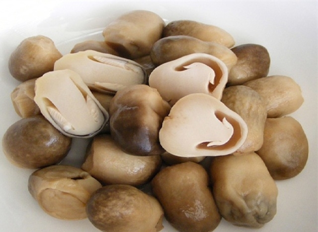 Nấm rơm