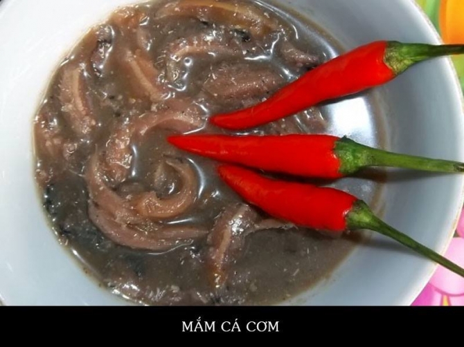 mắm cá cơm
