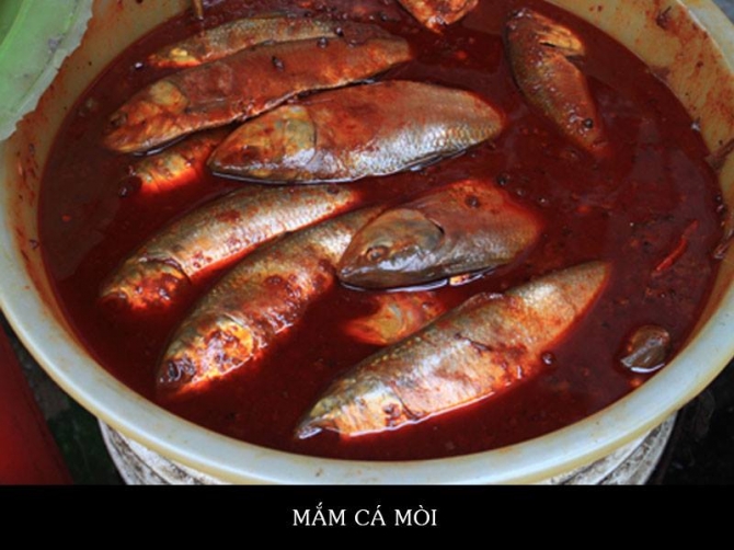 Mắm cá mòi