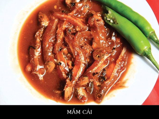 Mắm cái