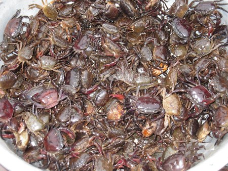 Cua vang