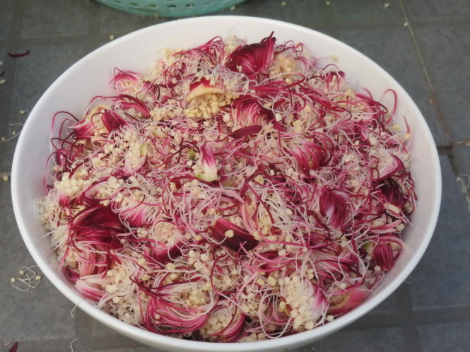 Bông bần chọn phần nhụy