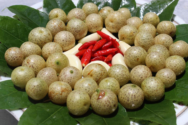 Quả mác mật
