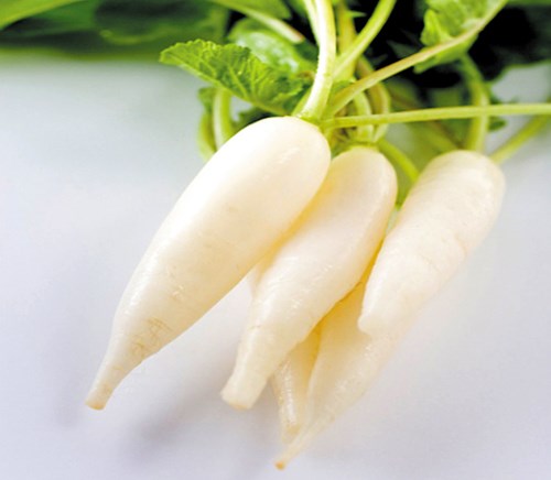 Canh củ cải