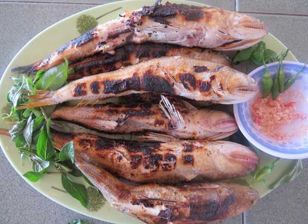 Cá thửng ở biển Châu Me