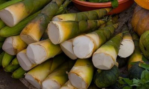 Măng tươi