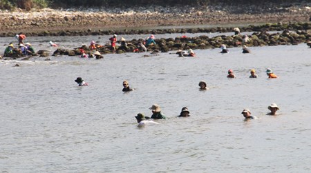 Quay chèo 2