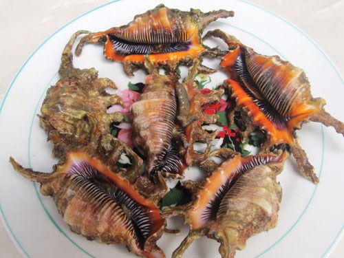 ốc bàn tay