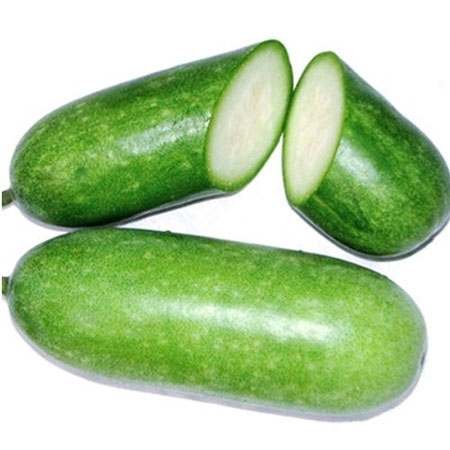 Bí đao