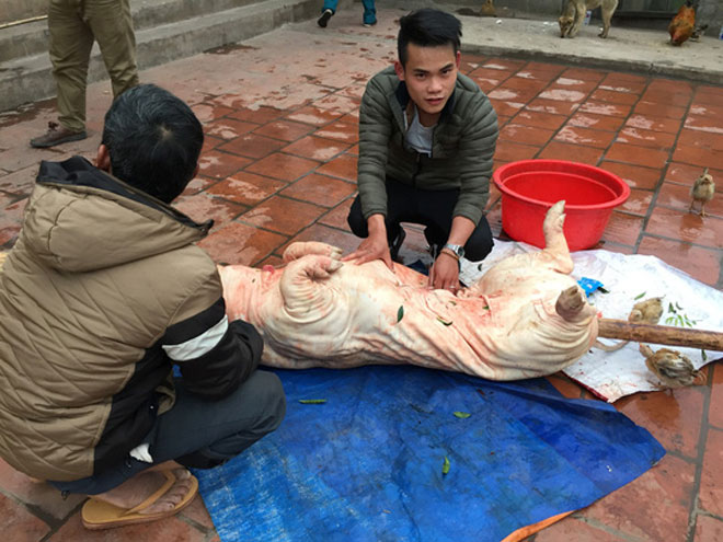 Ngất ngây món lợn quay xứ Lạng – Đặc sản cùng núi rừng Đông Bắc1