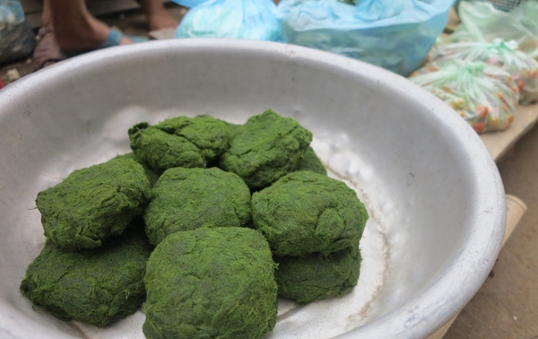 Thử thưởng thức món rêu nướng – Đặc sản của người Tày ở tỉnh Hà Giang1