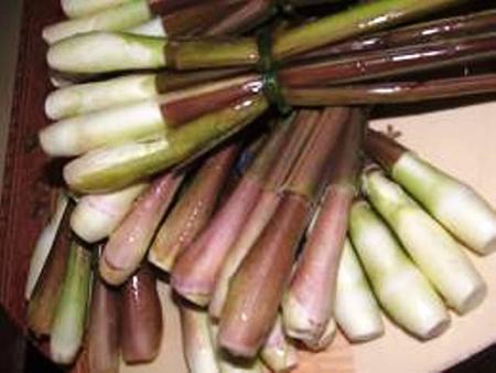 Củ niễng hái về.