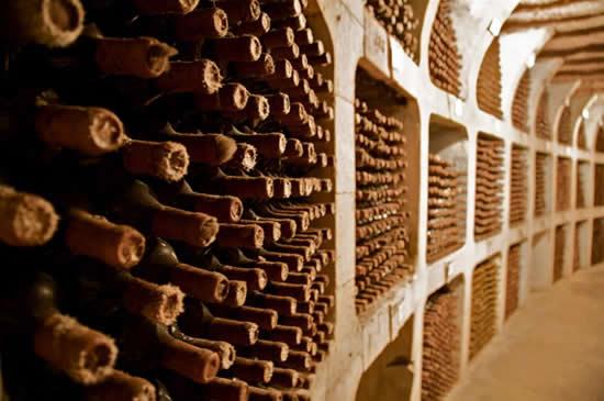 khám phá quy trình sản xuất rượu vang