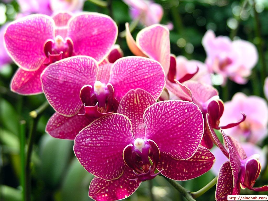 làm đẹp