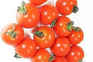 Hai cách tỉa cà chua bi đơn giản mà xinh xắn 6