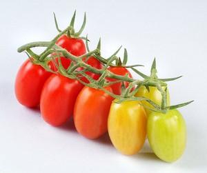 Hai cách tỉa cà chua bi đơn giản mà xinh xắn 2