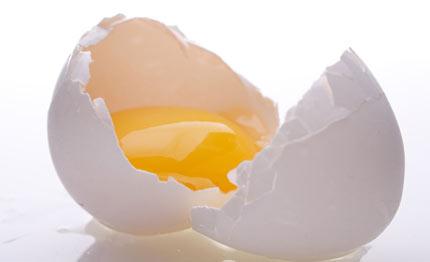 Trứng gà, trứng vịt, trứng cút – nên chọn loại nào?