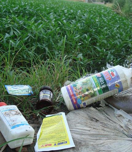 Kinh hoàng chứng kiến nông dân "tắm" hóa chất, dầu nhớt cho rau muống | Thực phẩm bẩn,Thực phẩm chứa hóa chất,Vệ sinh an toàn thực phẩm