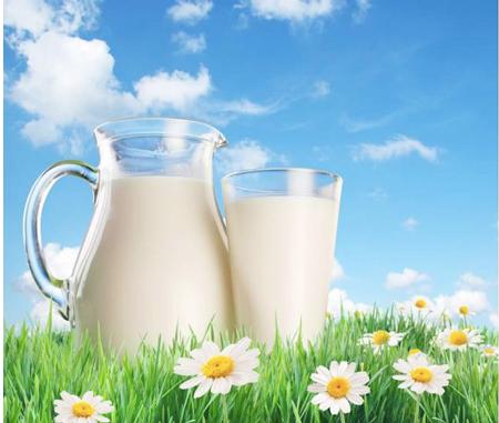 Sữa tươi là nguồn cung cấp dinh dưỡng bổ dưỡng
