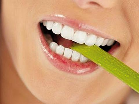 Cần tây sản xuất nhiều saliva giúp trung hòa vi khuẩn gây ra lỗ sâu răng.
