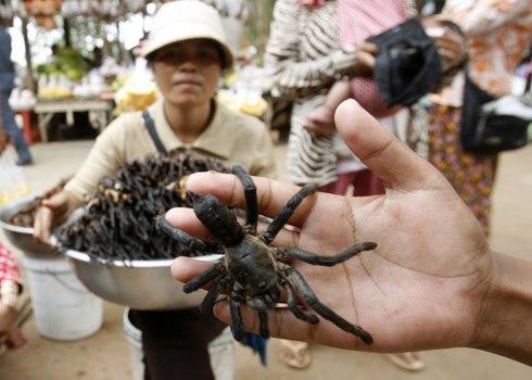 Trong tỉnh Kampong Cham, Campuchia, một nhà cung cấp bán nhện sâu cho bạn bè cho khách hàng tại một trạm xe buýt. 2,00 $ sẽ giúp bạn có được 10 con nhện giòn dày dạn với tỏi.
