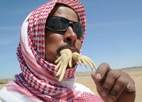 Một người đàn ông Ả Rập Saudi kêu răng rắc trên tay của một con thằn lằn Uromastyx, một con vật có máu được cho là chữa bệnh và tăng cường cơ thể. Còn được gọi là "dabb thằn lằn", các loài bò sát nhỏ thường được đánh bắt bởi móc hoặc chó và được hưởng như một món ăn ở nhiều nơi của Trung Đông.