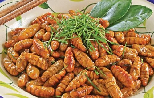 Nhộng tằm