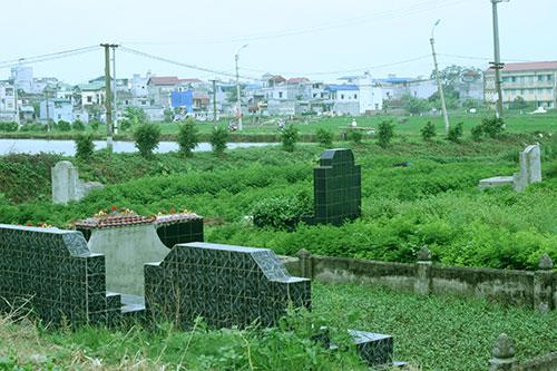 Người Hà Nội ăn rau trồng ngay trên mộ người chết 1 Người Hà Nội ăn rau trồng ngay trên mộ người chết 1