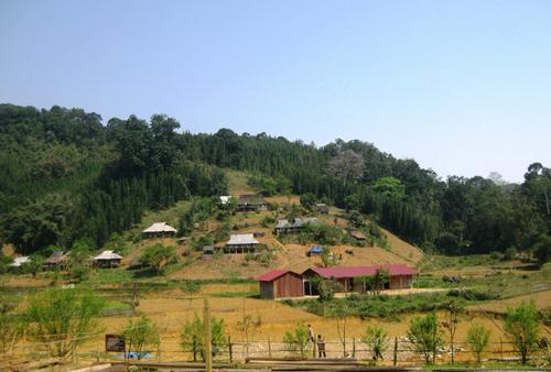 nhasan-6854-1390788684.jpg
