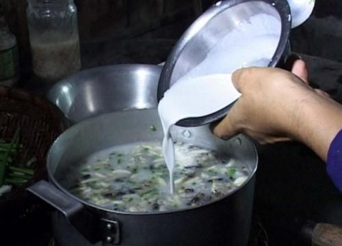 Cháo ong vò vẽ