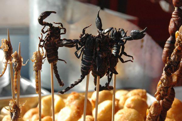 Món bọ cạp nướng/ chiên khá phổ biến và được yêu thích ở Trung Quốc. Bạn có thể dạo qua phố Wangfujing, Bắc Kinh và thử thách bản thân mình với món ăn này. Ảnh: Douglas Bakshian