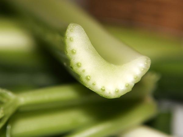 8 món low carb phù hợp khi đi du lịch 3 8 món low carb phù hợp khi đi du lịch 3
